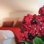 Sky Apartmán Rovinj